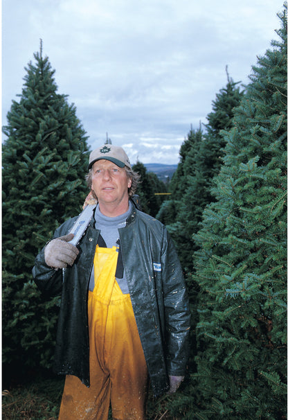 Real Christmas Trees Delivered 5 Foot Premium Balsam Fir Christmas Tree